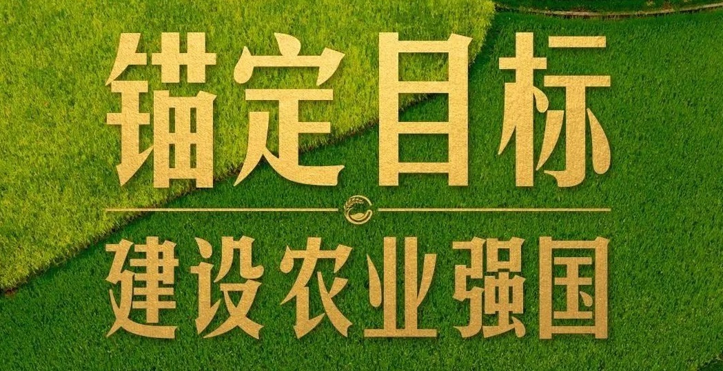 點燃現(xiàn)代農(nóng)業(yè)創(chuàng)新引擎，釋放農(nóng)業(yè)領(lǐng)域新質(zhì)生產(chǎn)力